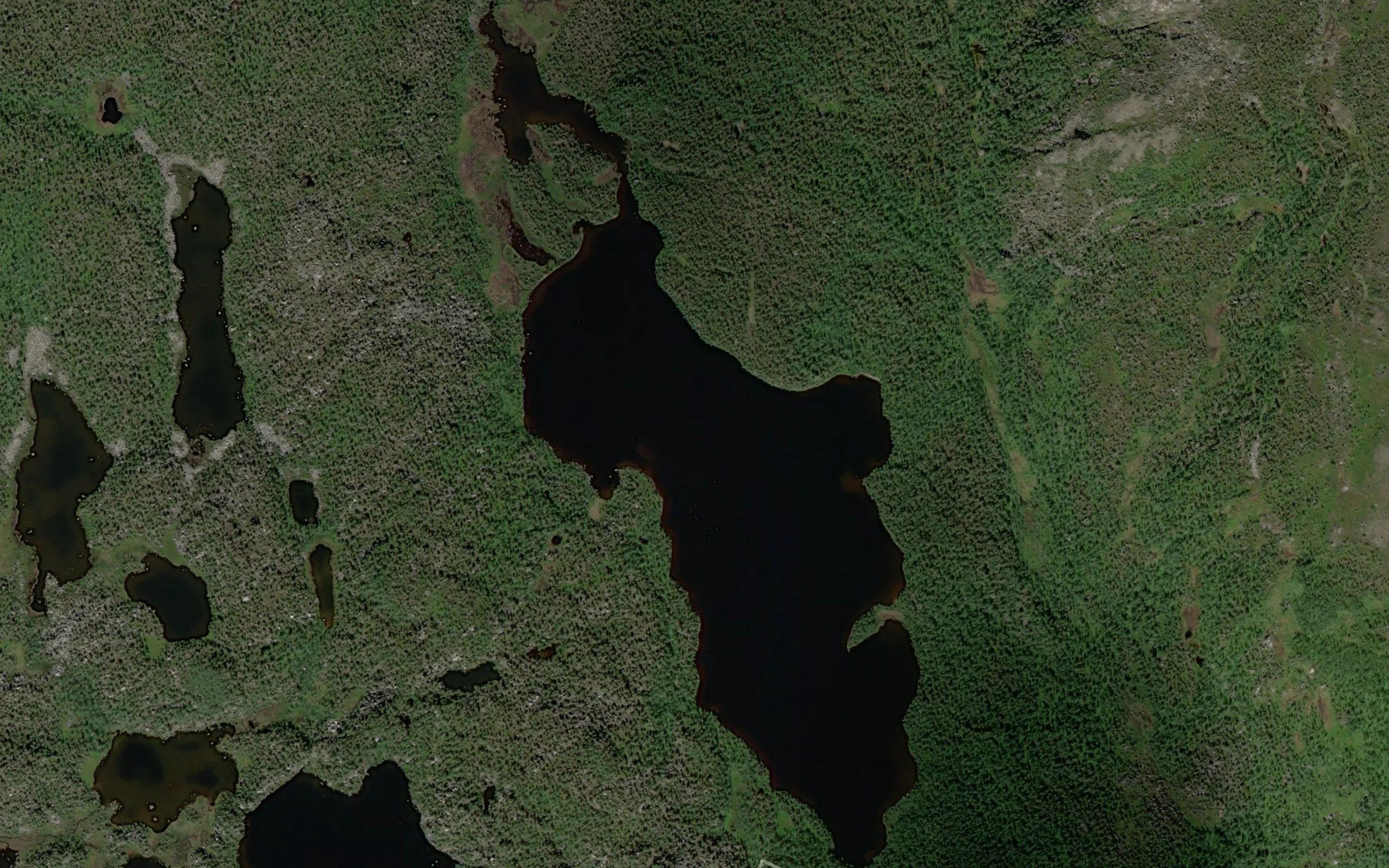 Borsevatnet