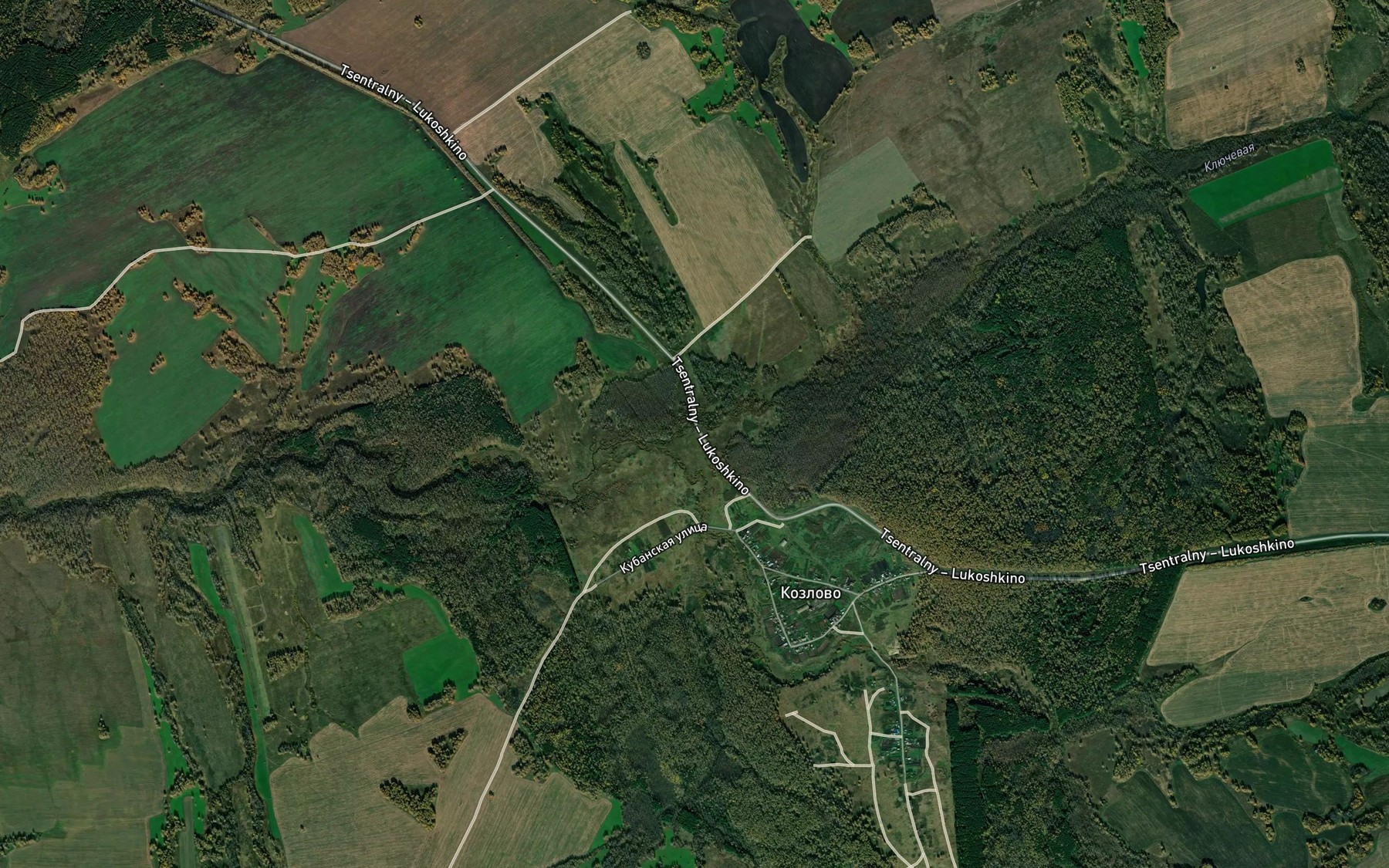 Satellite map of the Kamenka