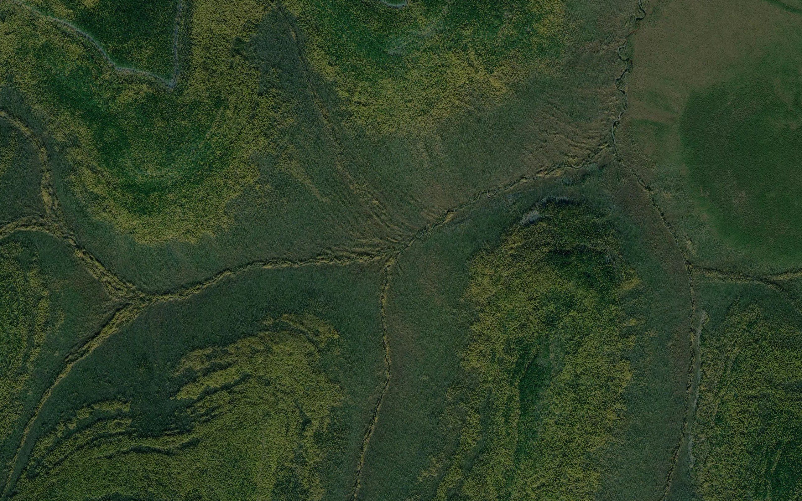 Khangas-Dallyn