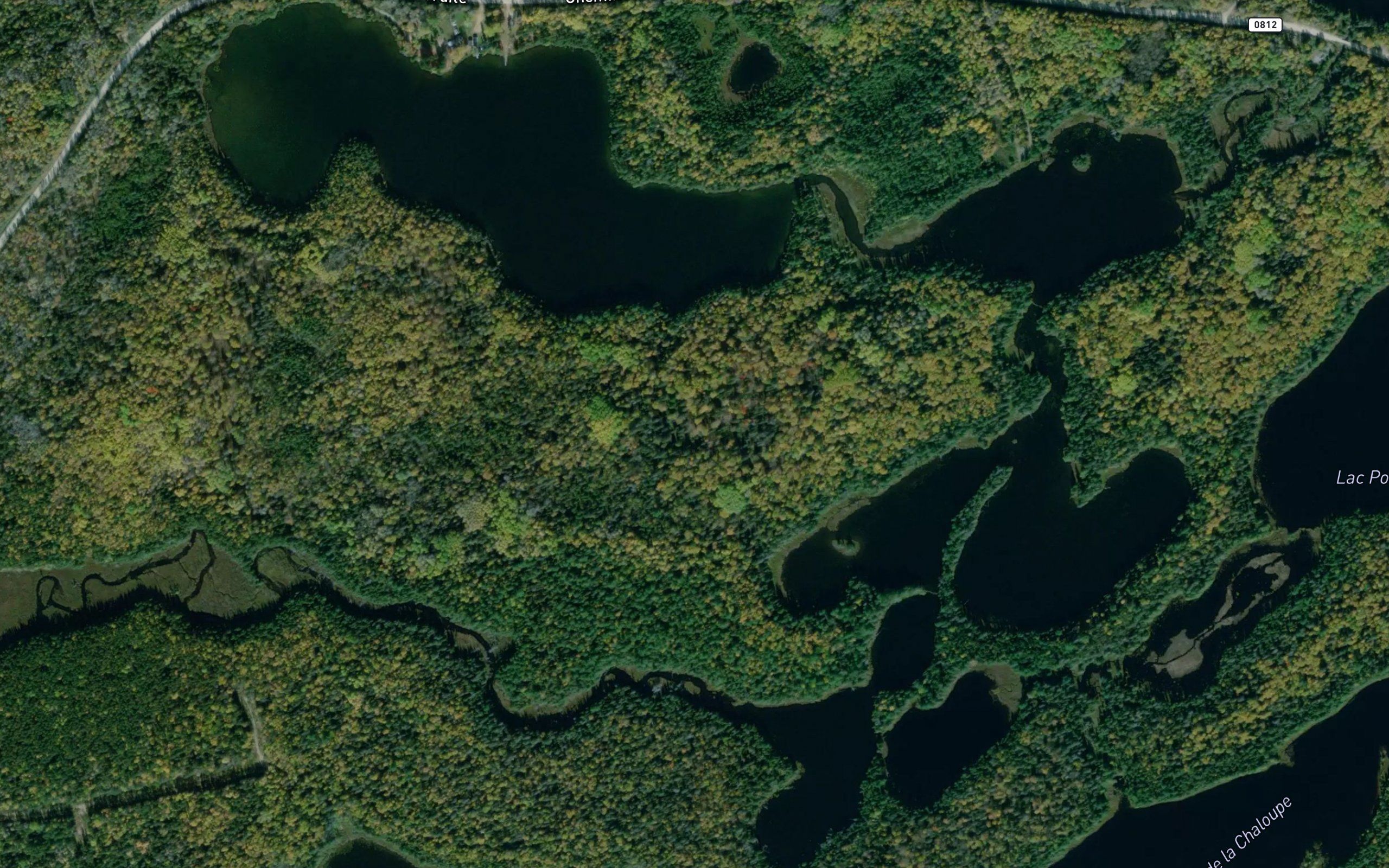 Lac Sheehan