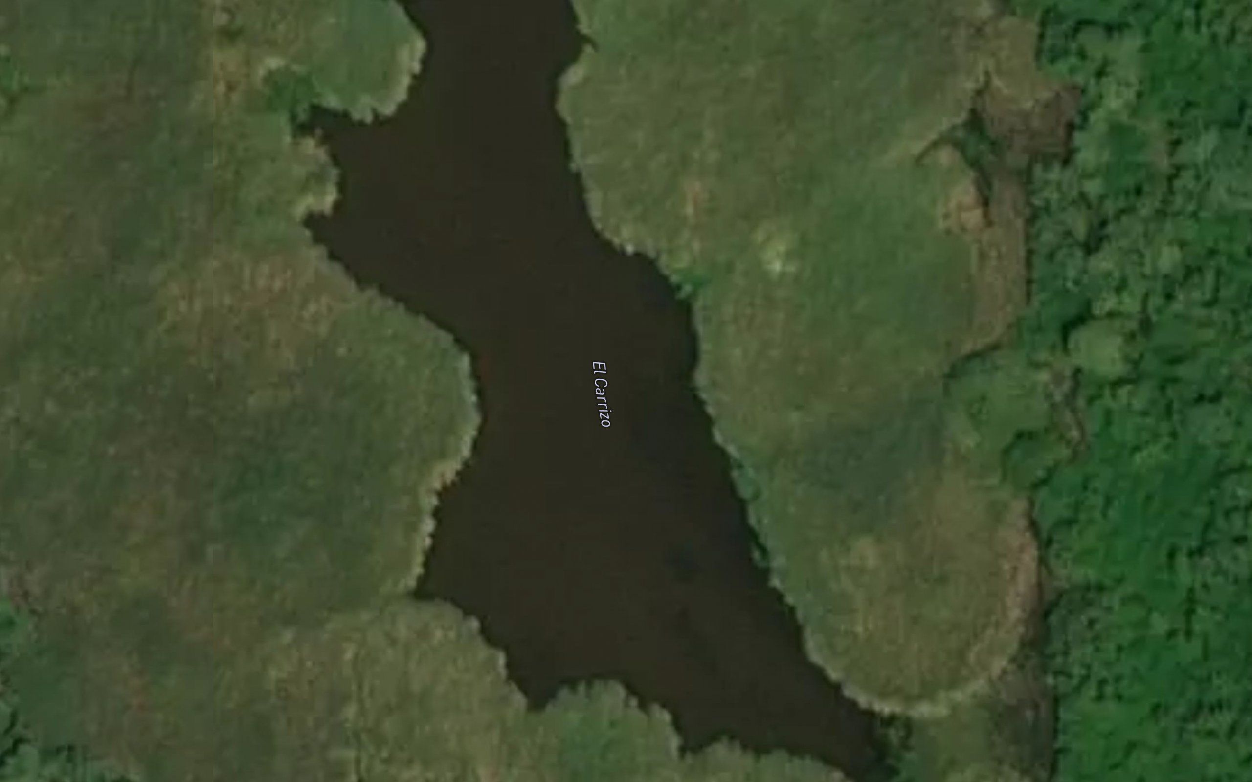 Laguna el Carrizo
