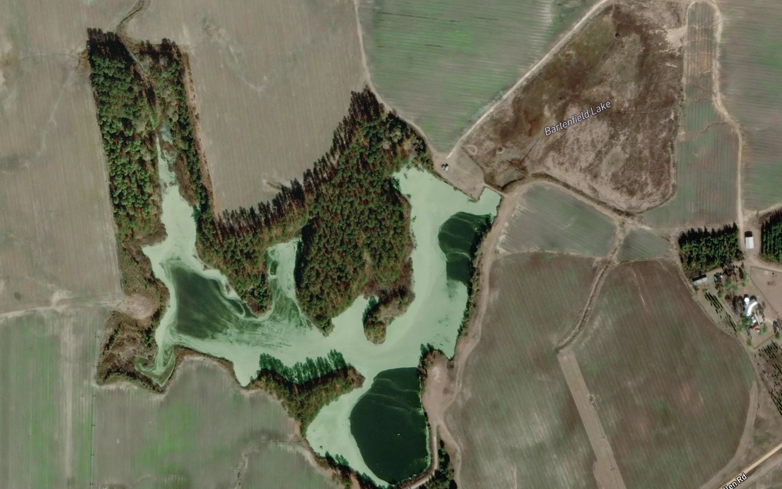 Bartenfield Lake