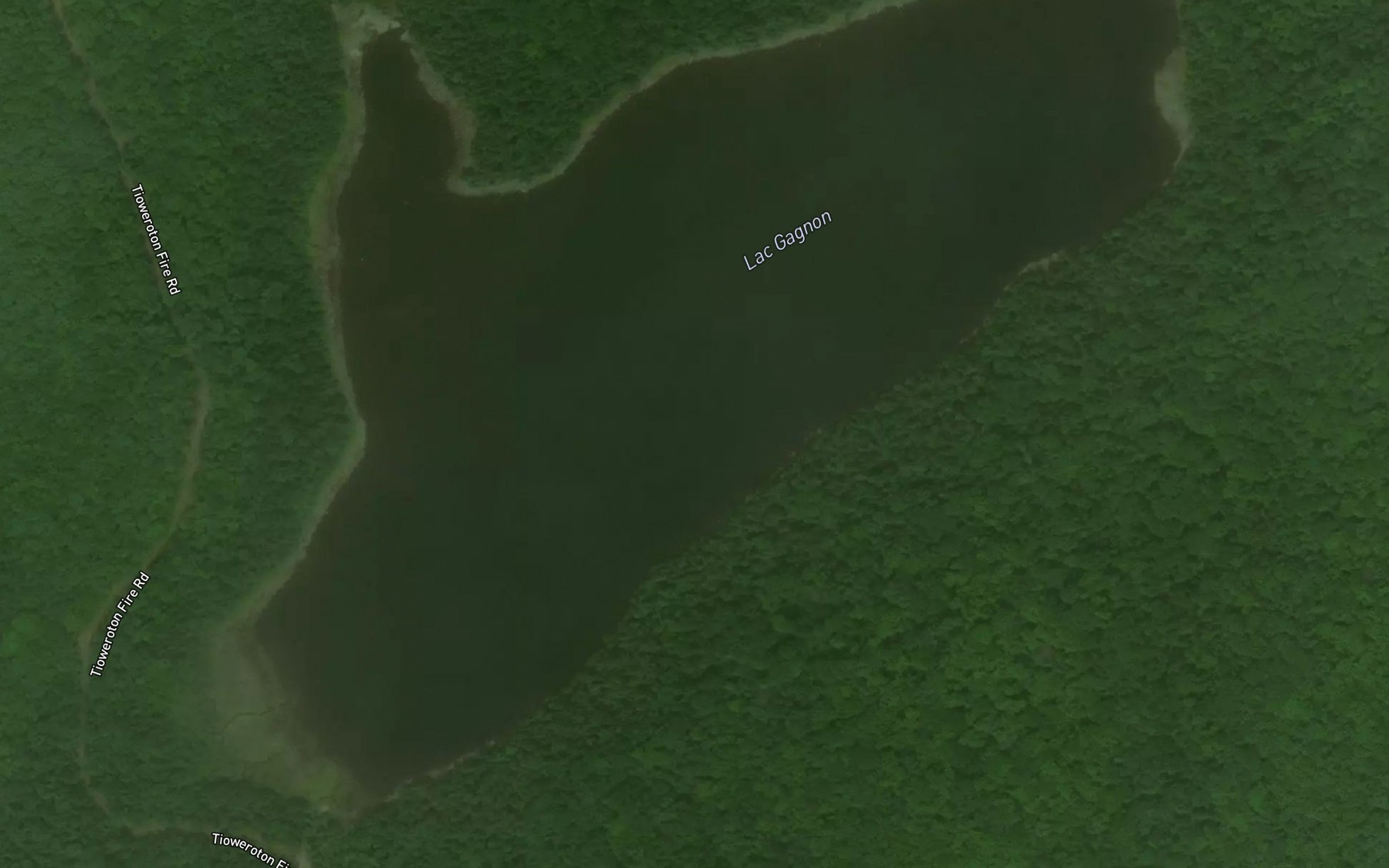 Satellite map of the Lac Gagnon