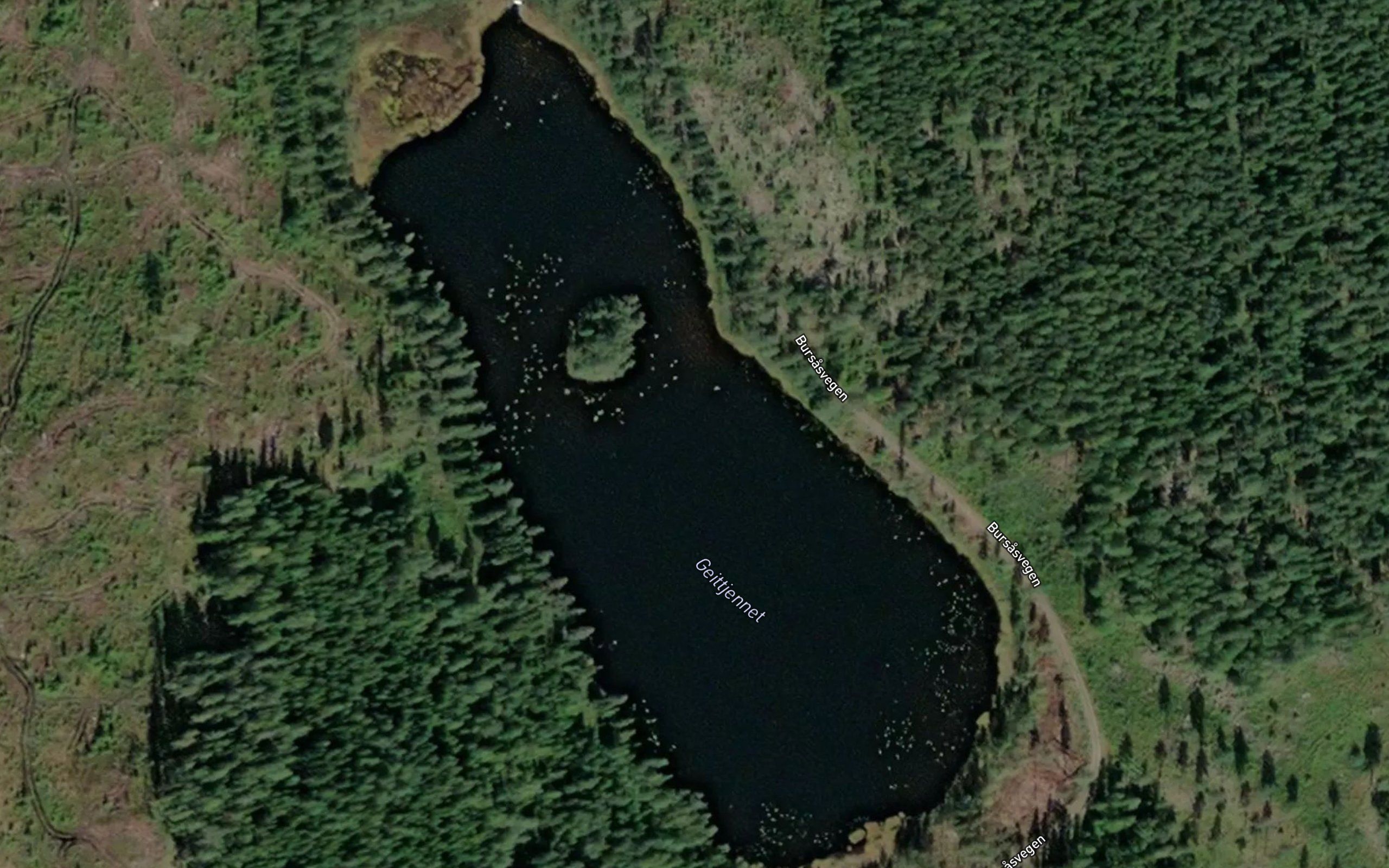 Geittjennet