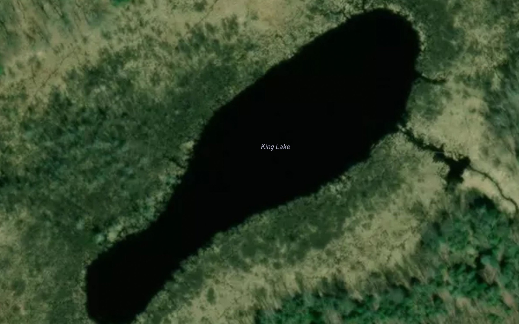 Satellite map of the King Lake