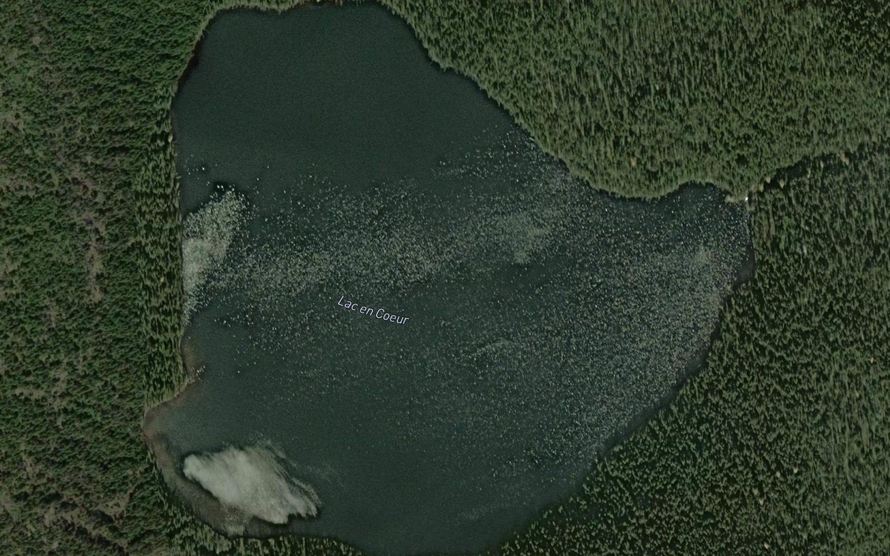 Satellite map of the Lac en Coeur