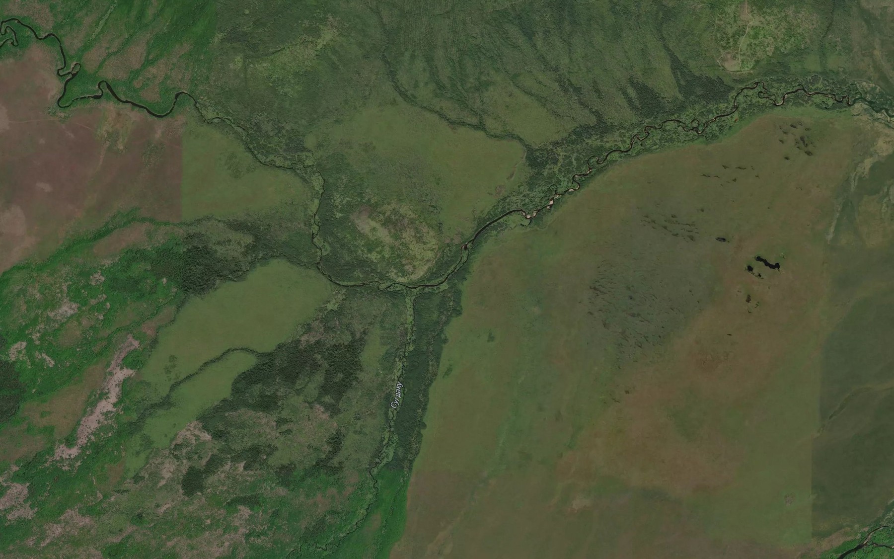 Satellite map of the Almaznyy