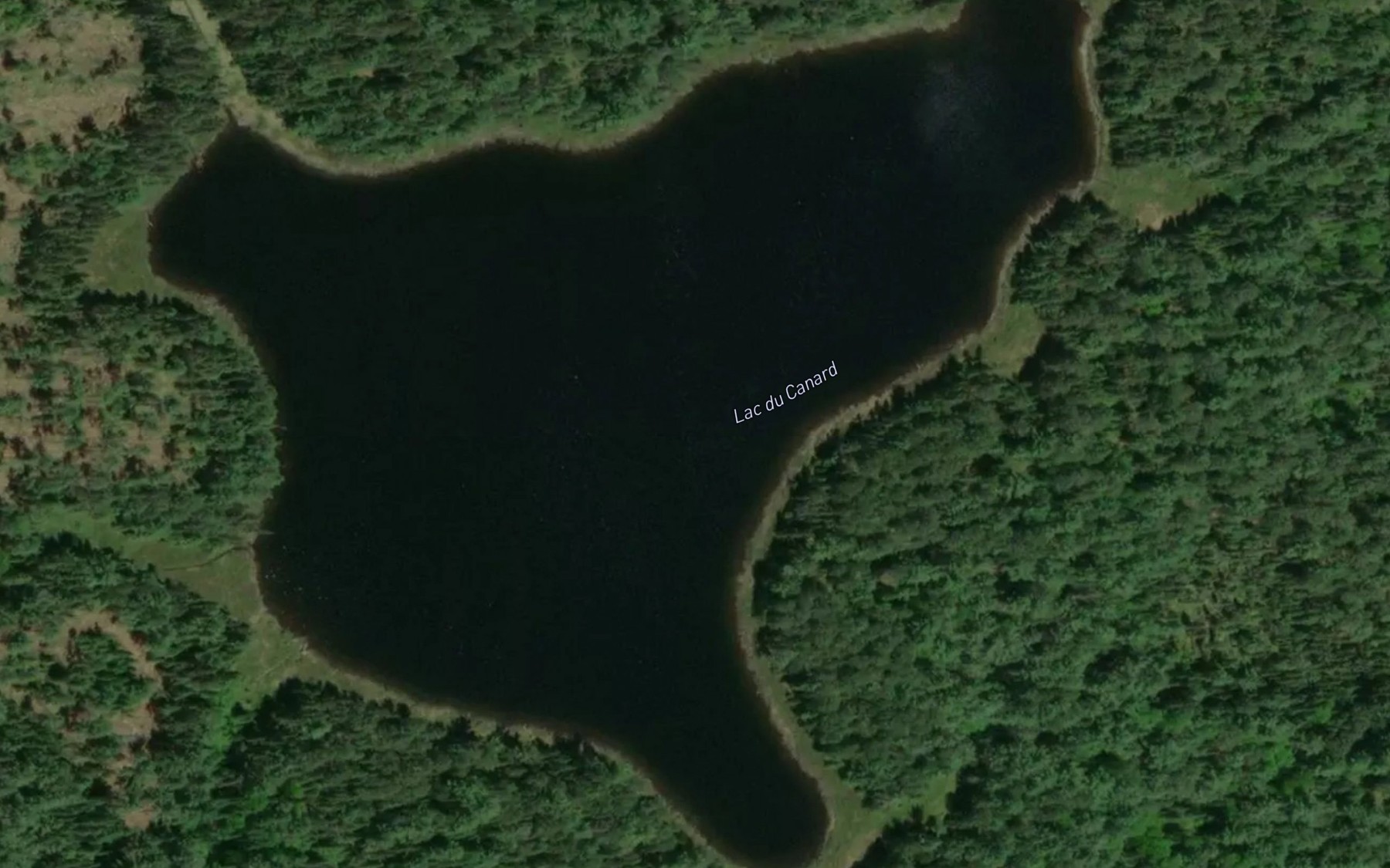 Satellite map of the Lac du Canard