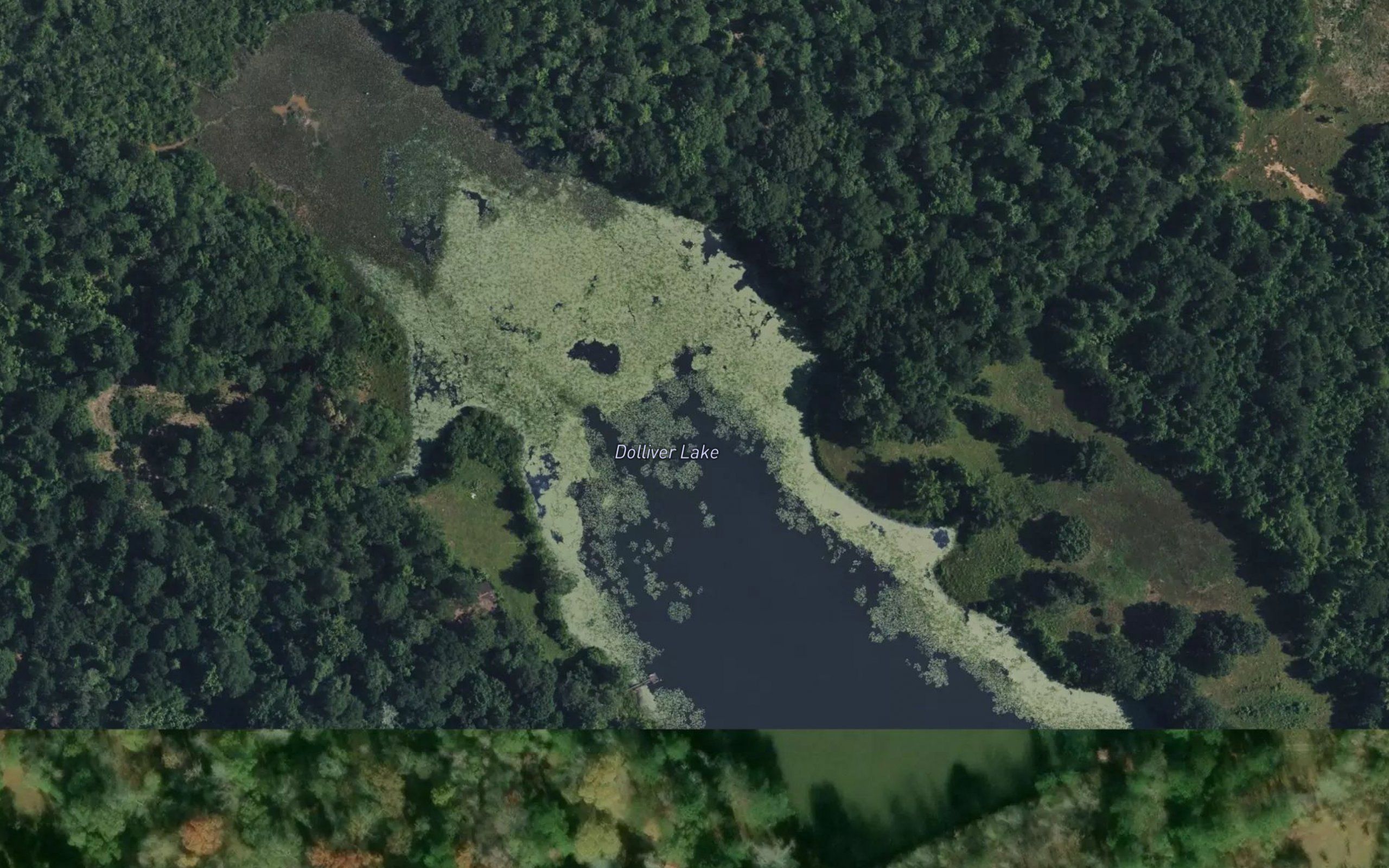 Dolliver Lake