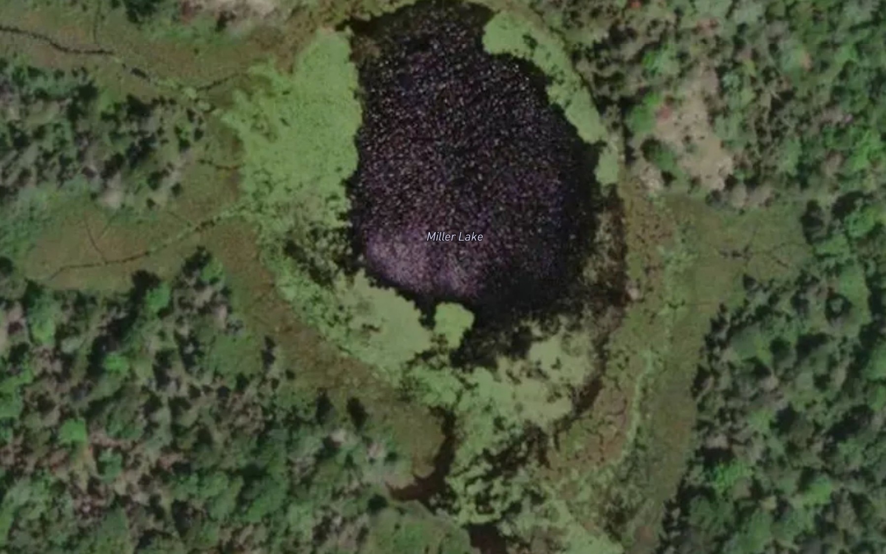 Satellite map of the Miller Lake