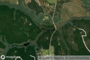Reddy Creek