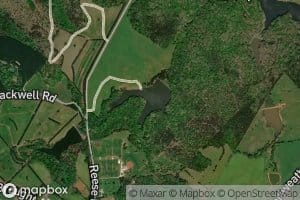 Kennedy Lake