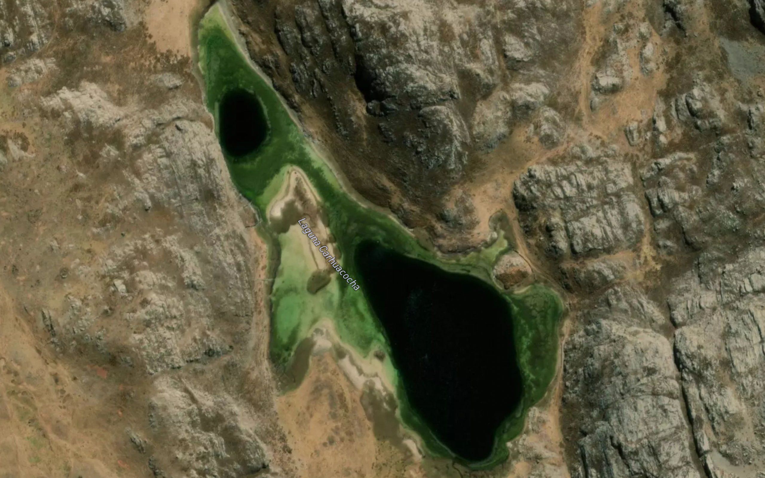 Laguna Carhuacocha