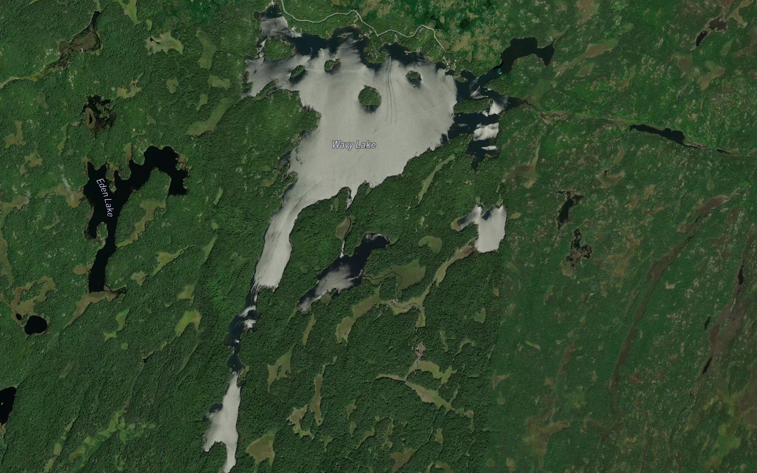 Wavy Lake