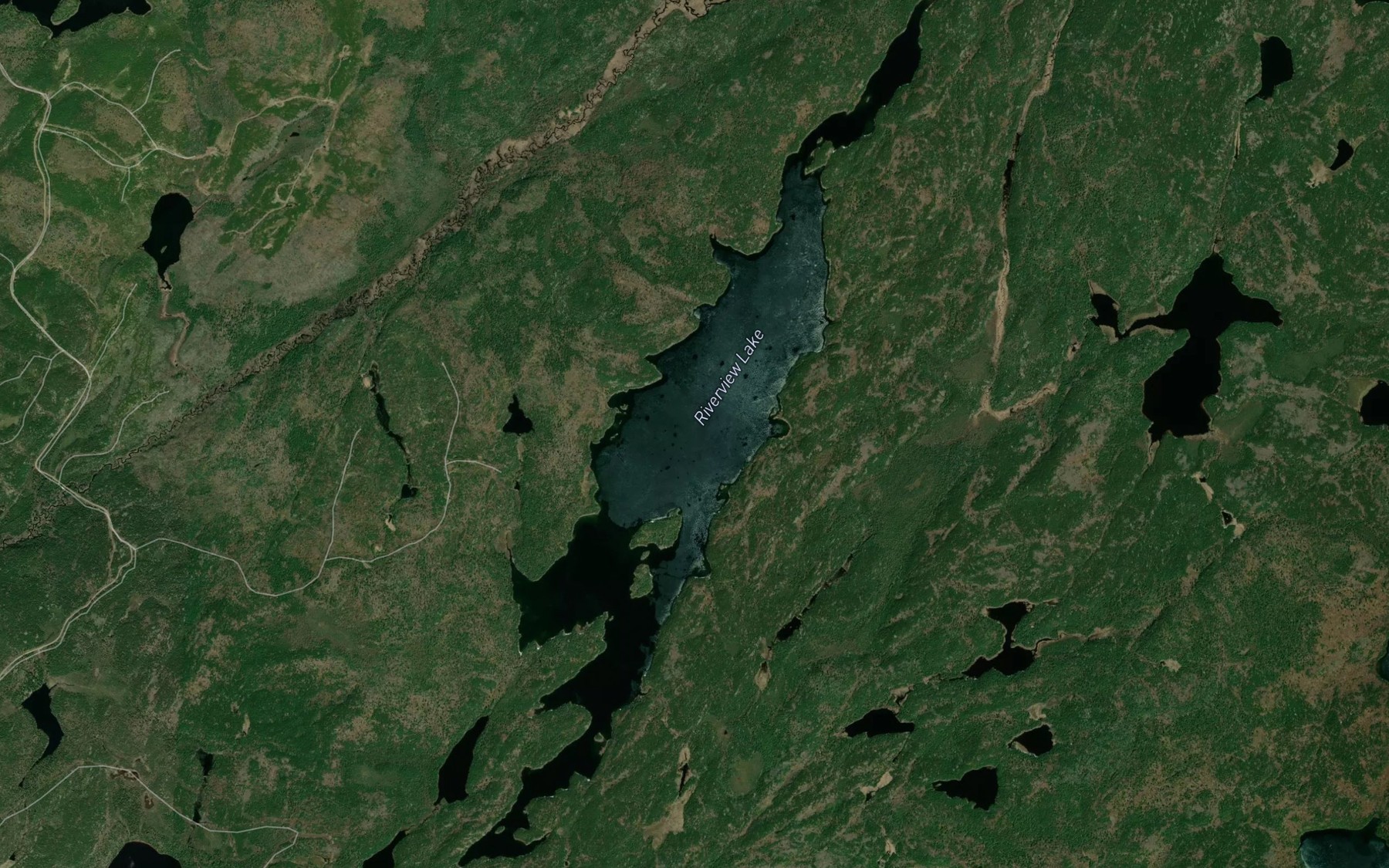 Satellite map of the Riverview Lake