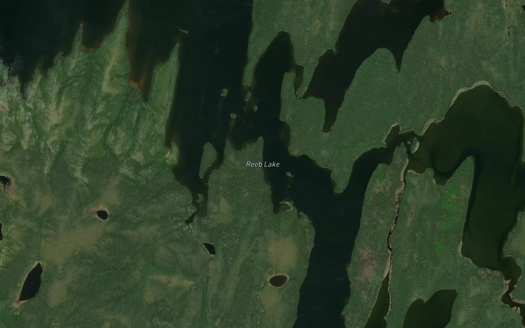 Satellite map of the Reeb Lake