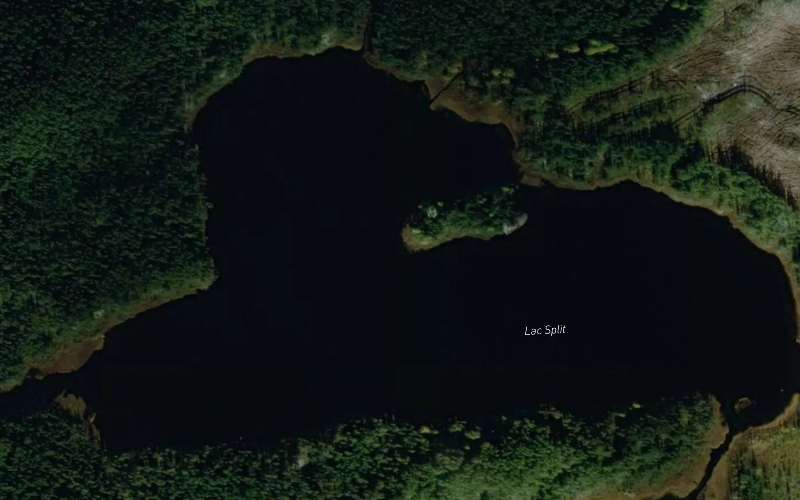 Lac Split