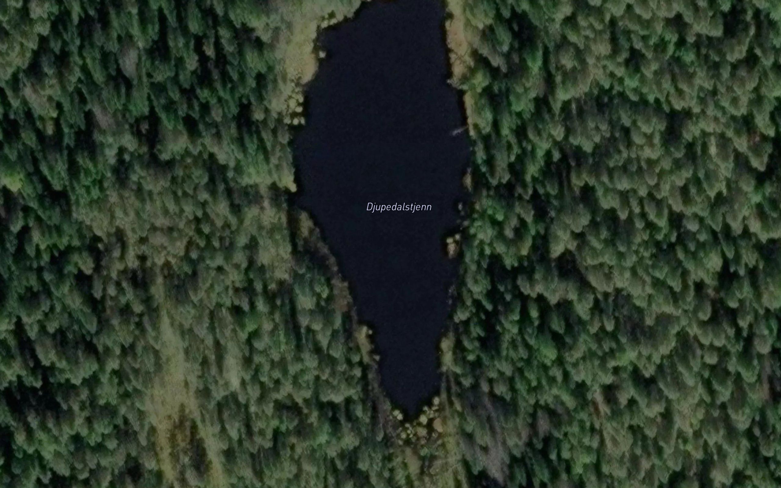 Djupedaltjern