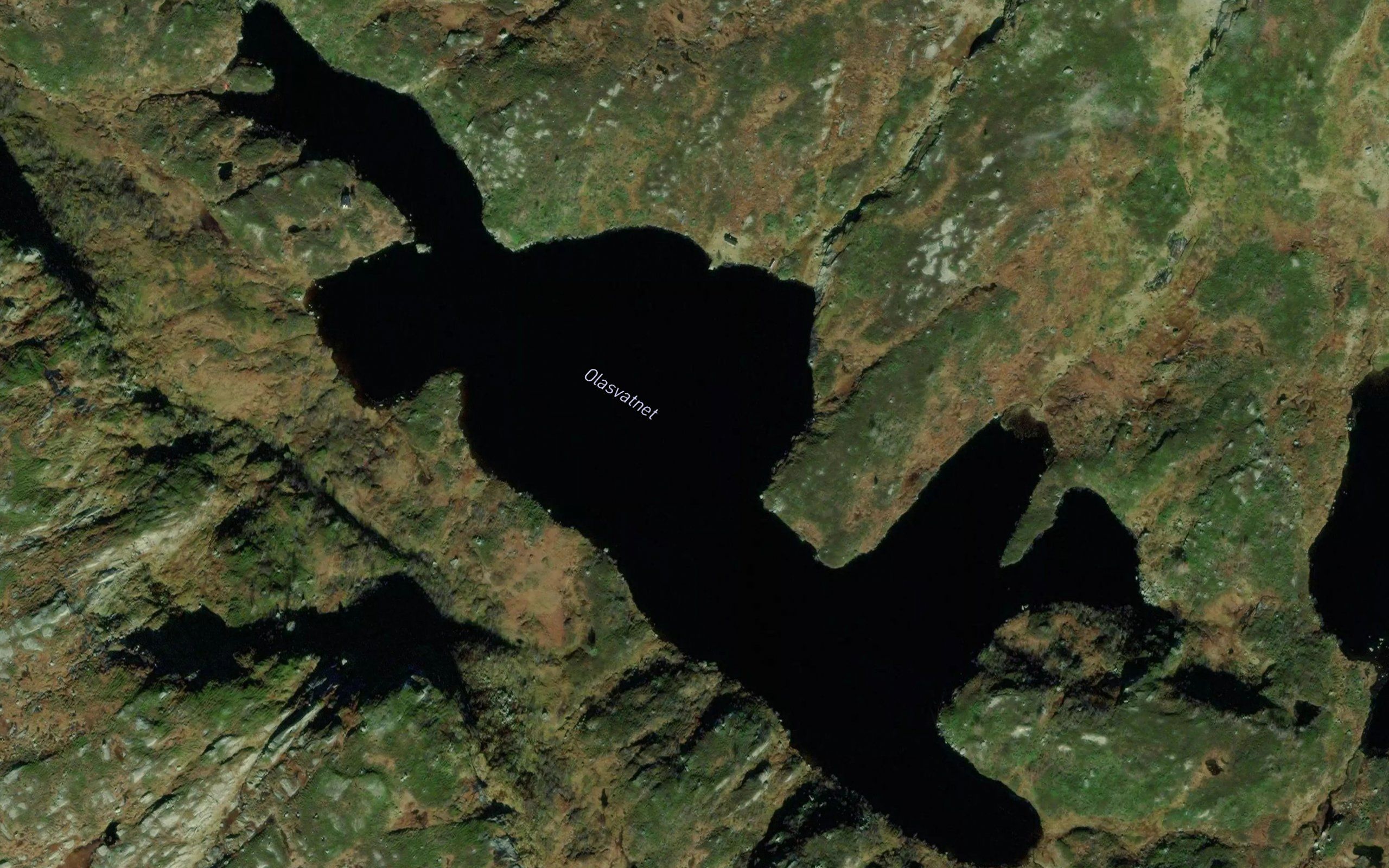Olasvatnet