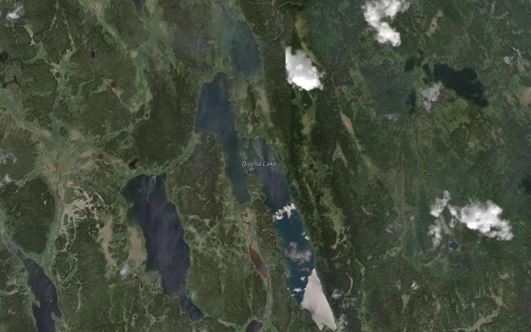 Satellite map of the Disella Lake