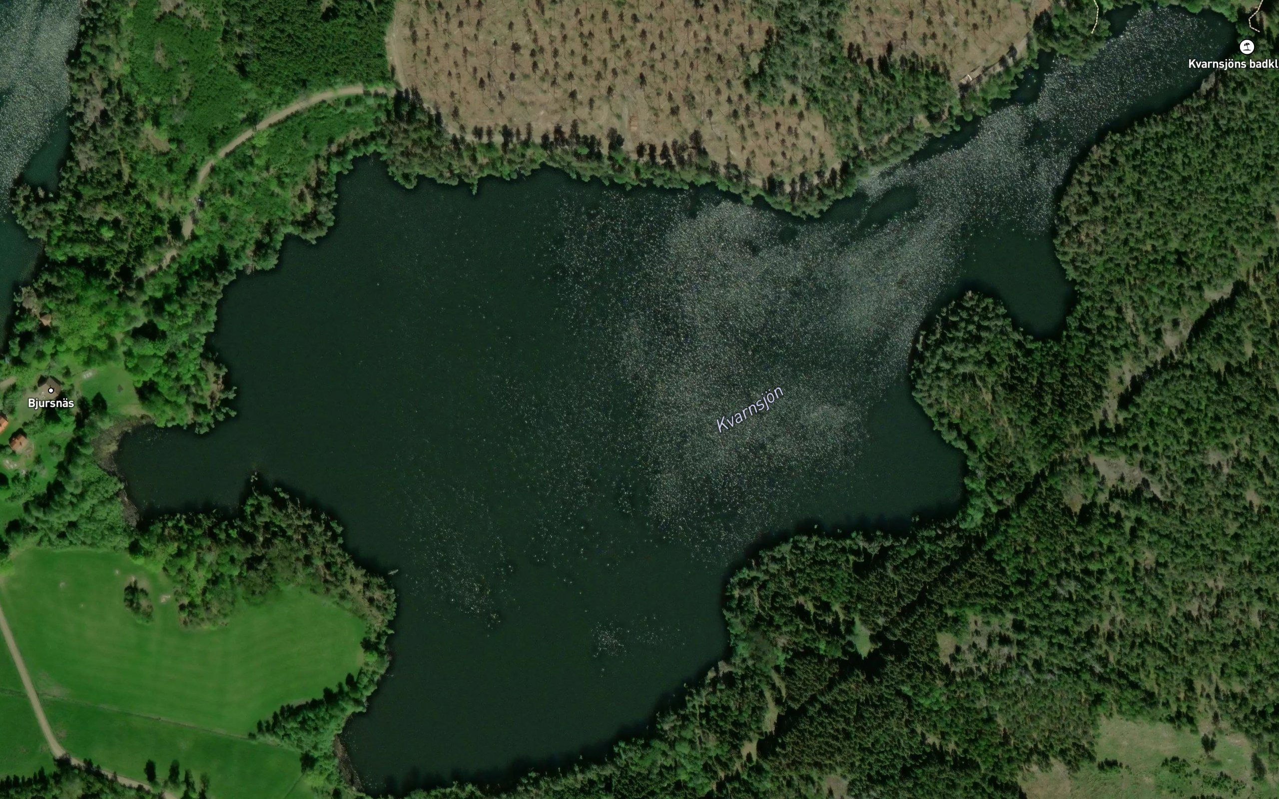 Kvarnsjon