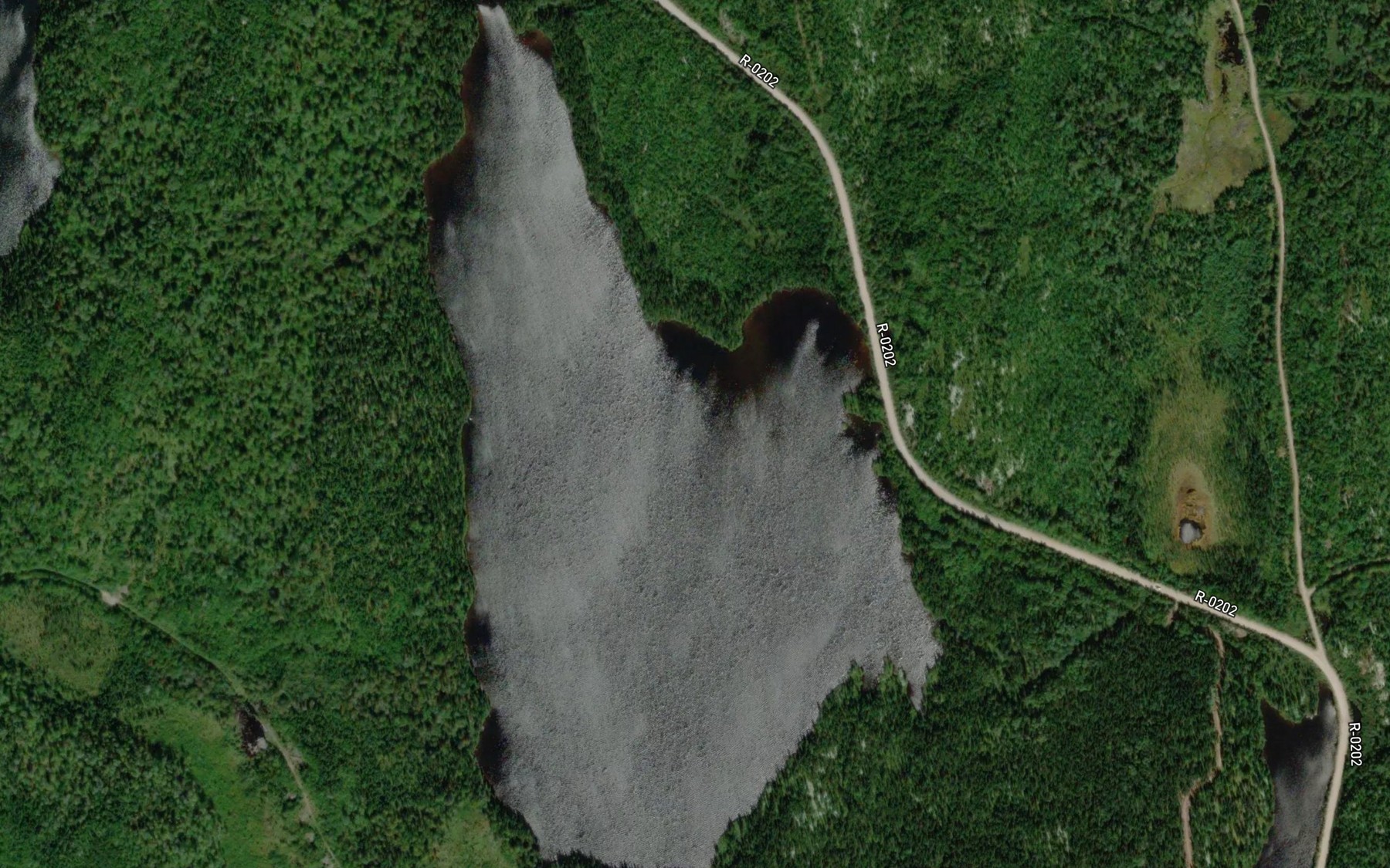 Satellite map of the Lac Truite Grise