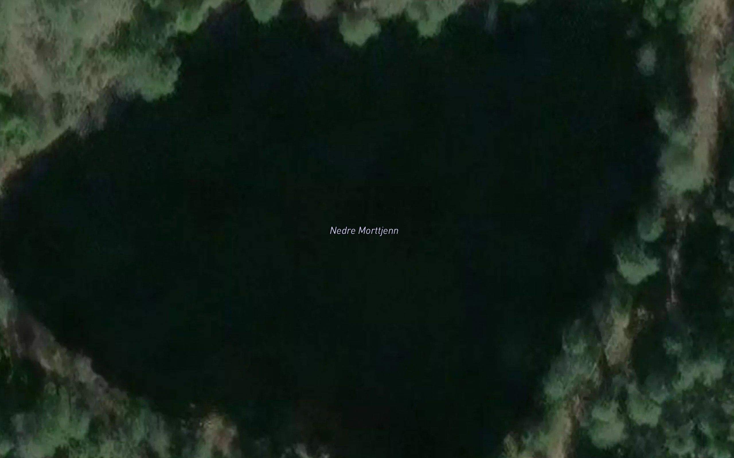 Nedre Morttjern