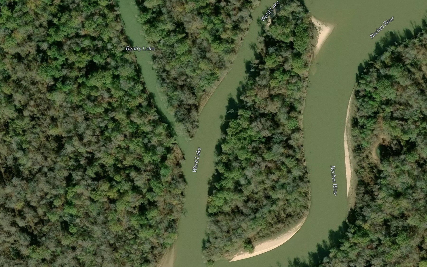 Satellite map of the Ward Lake