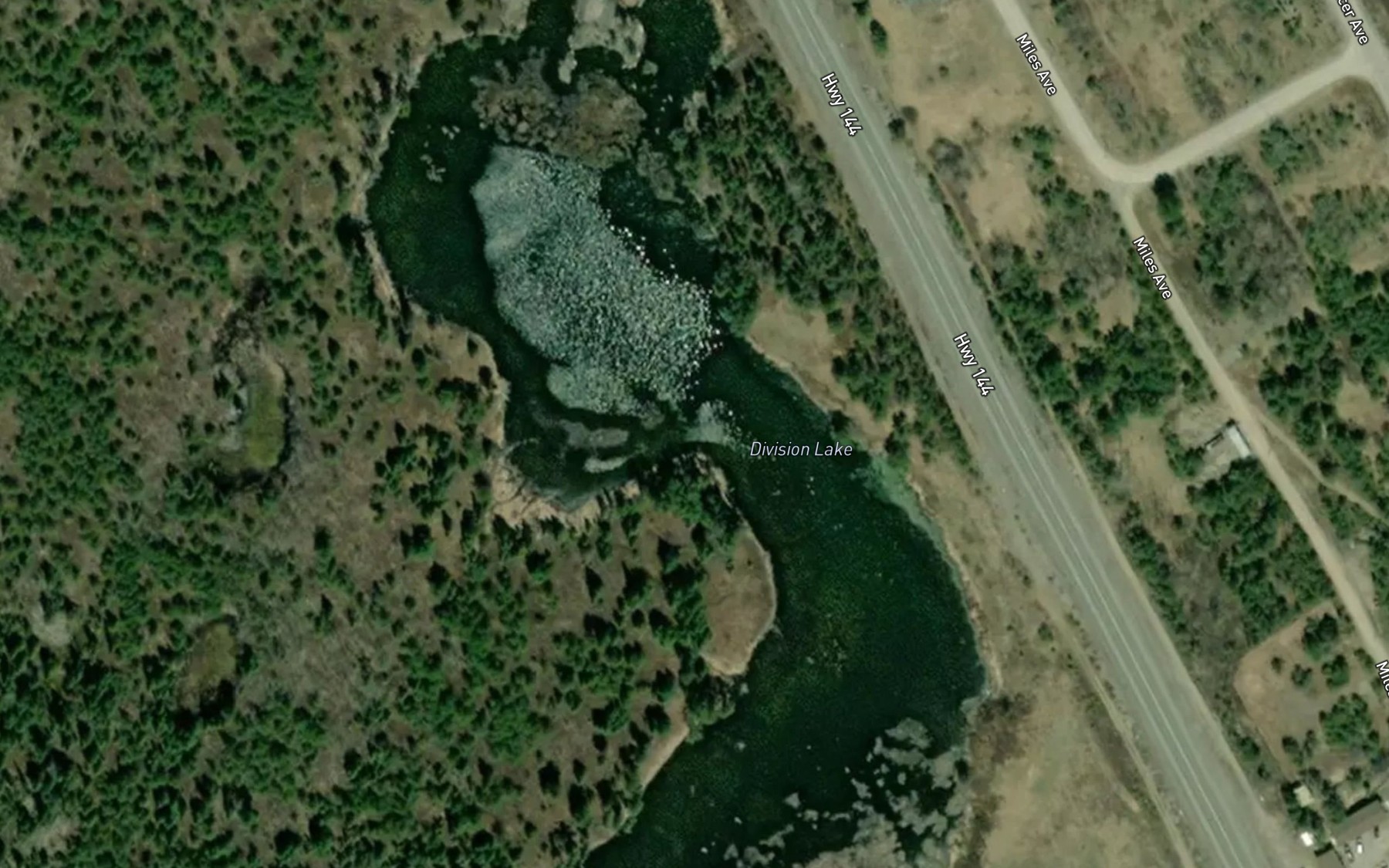 Satellite map of the Division Lake