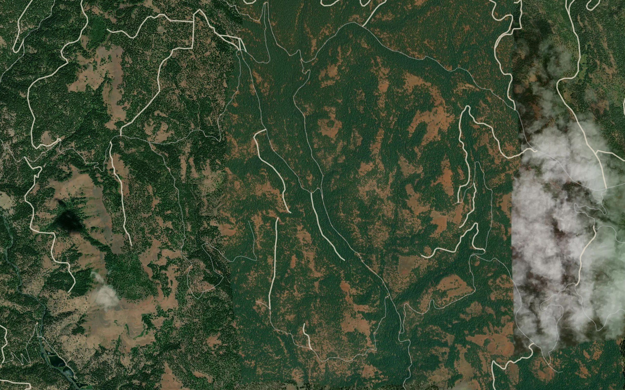 Snow Fork Creek