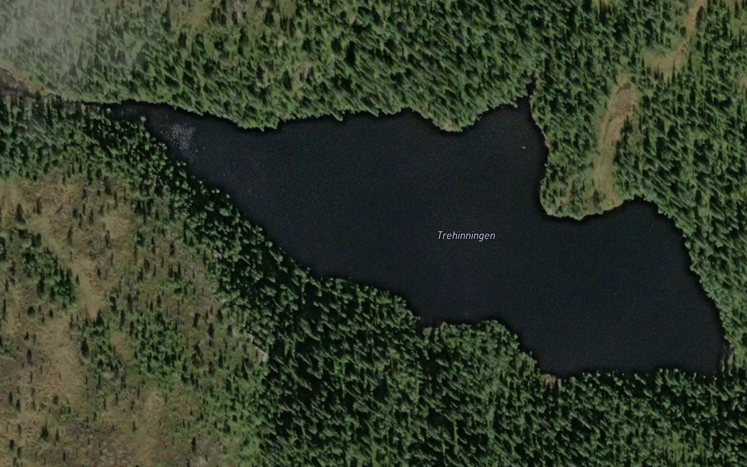 Trihinningen