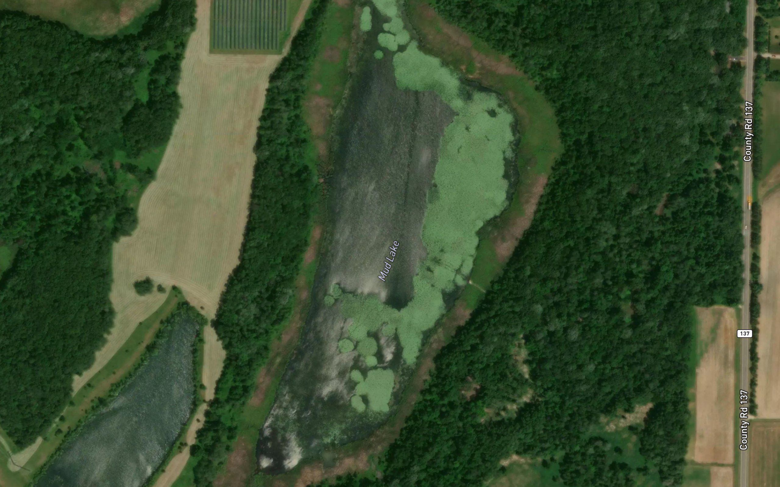 Mud Lake