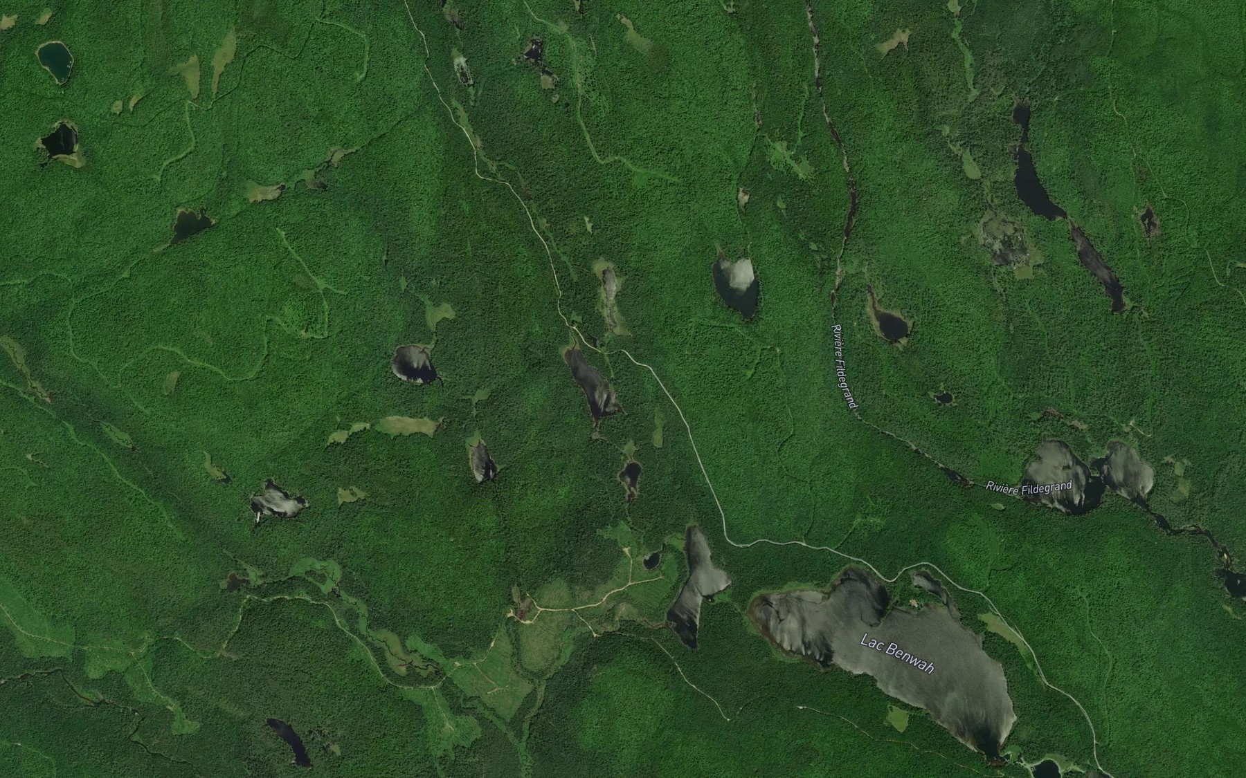 Satellite map of the Lac de la Libellule