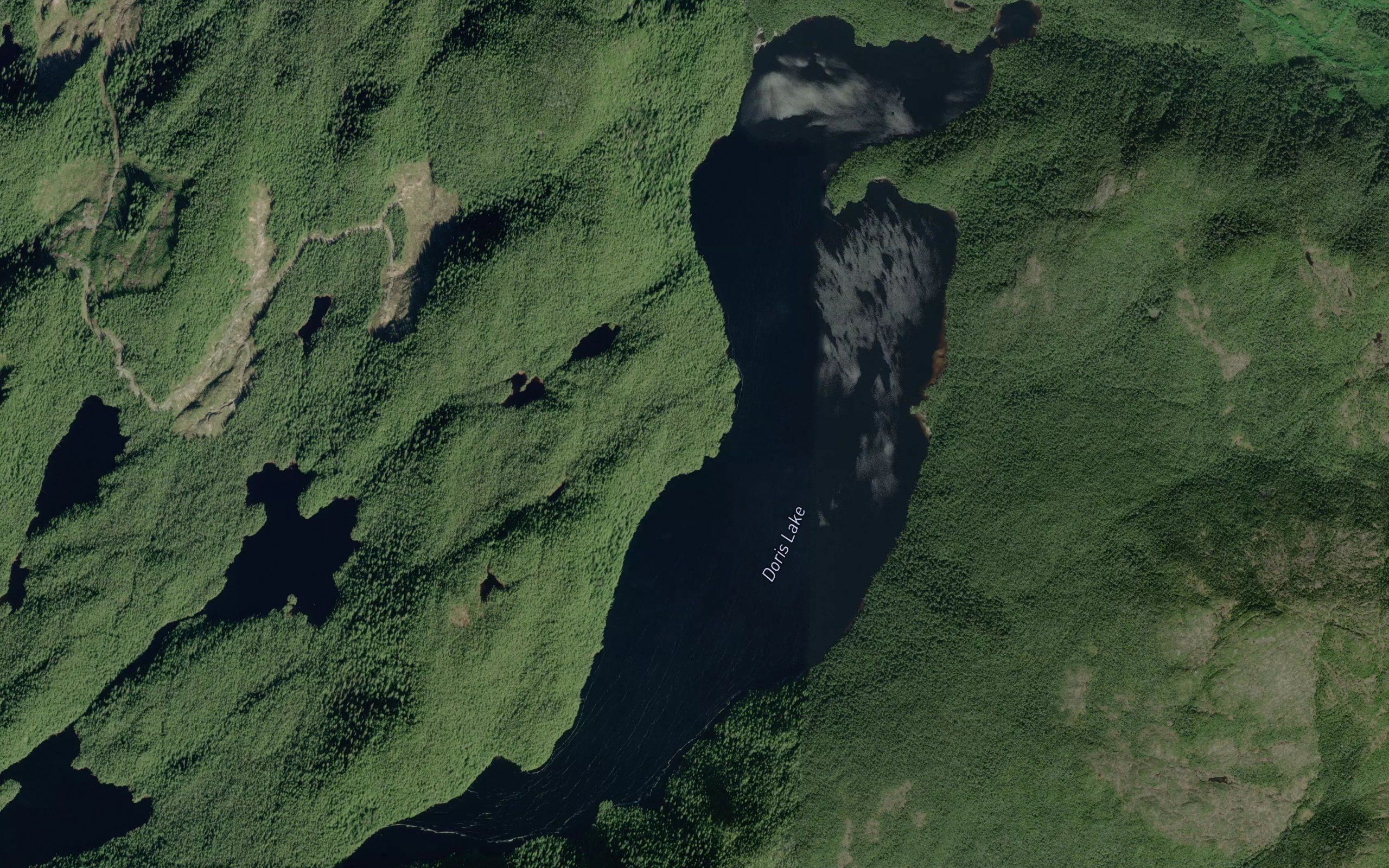 Doris Lake