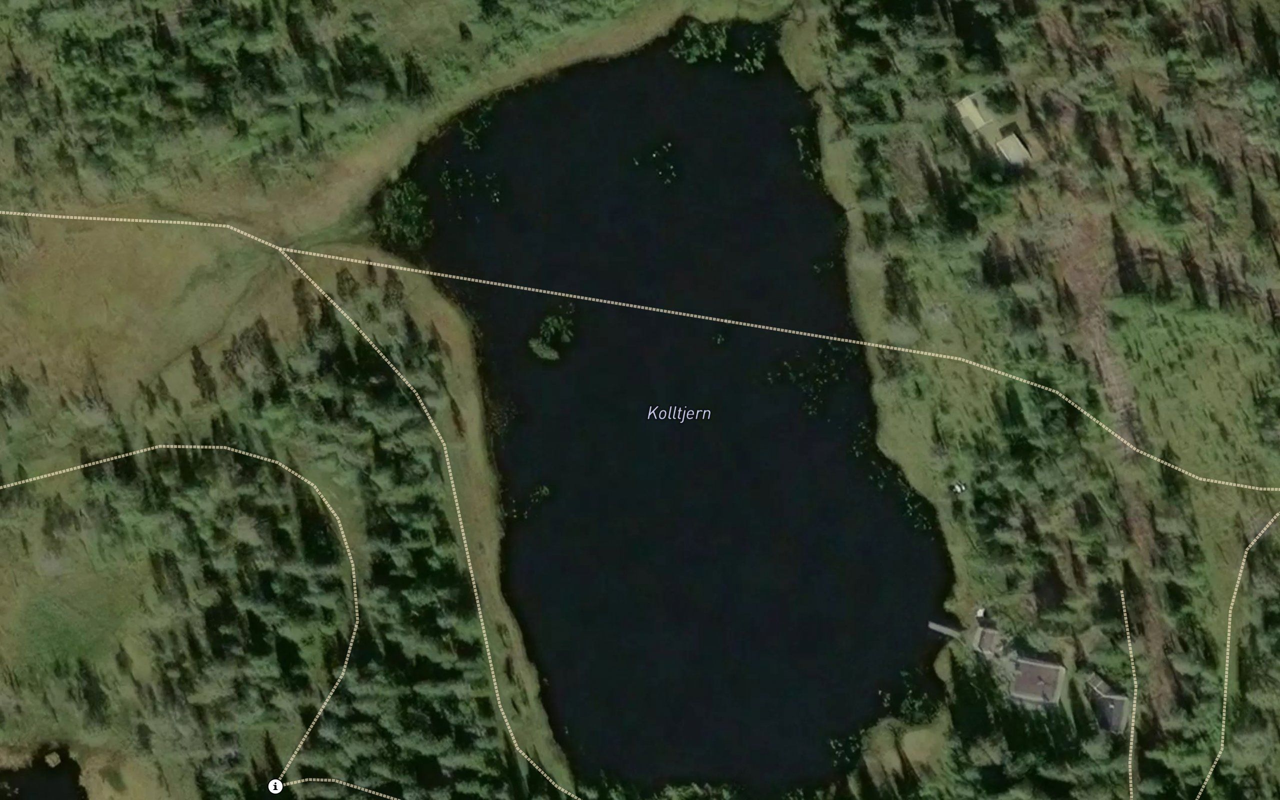 Kolltjern