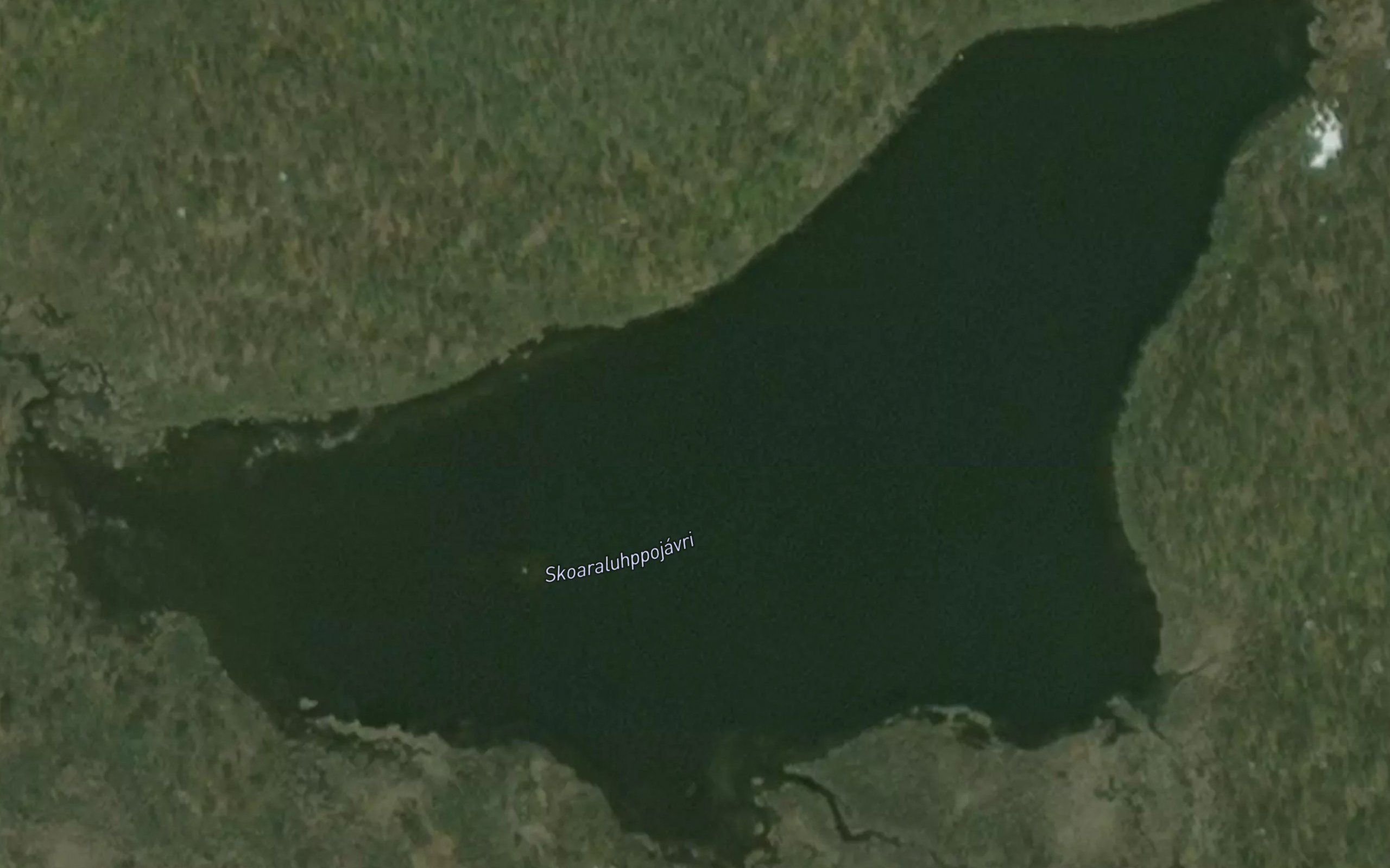 Skoaraluhppojavri