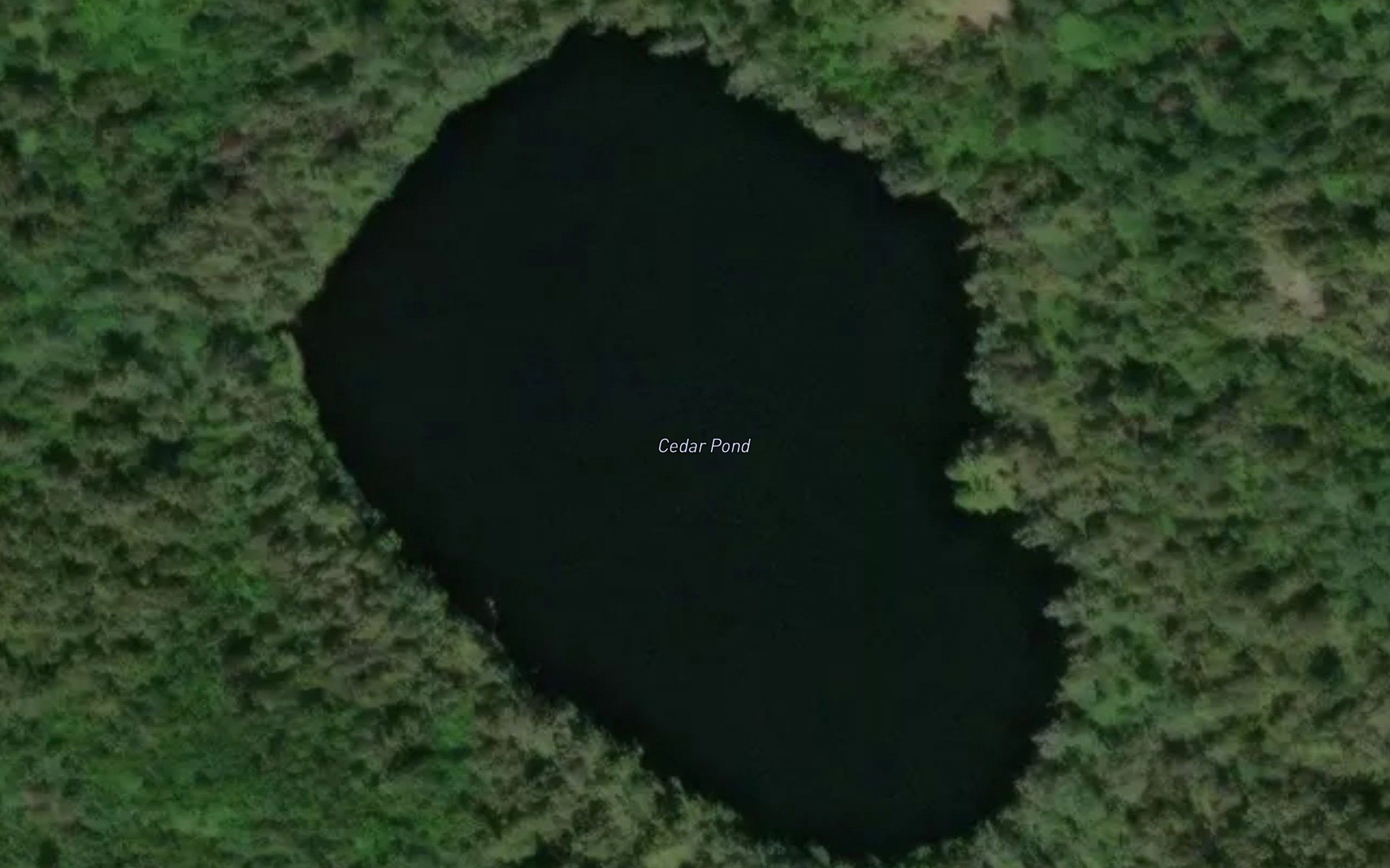 Cedar Pond