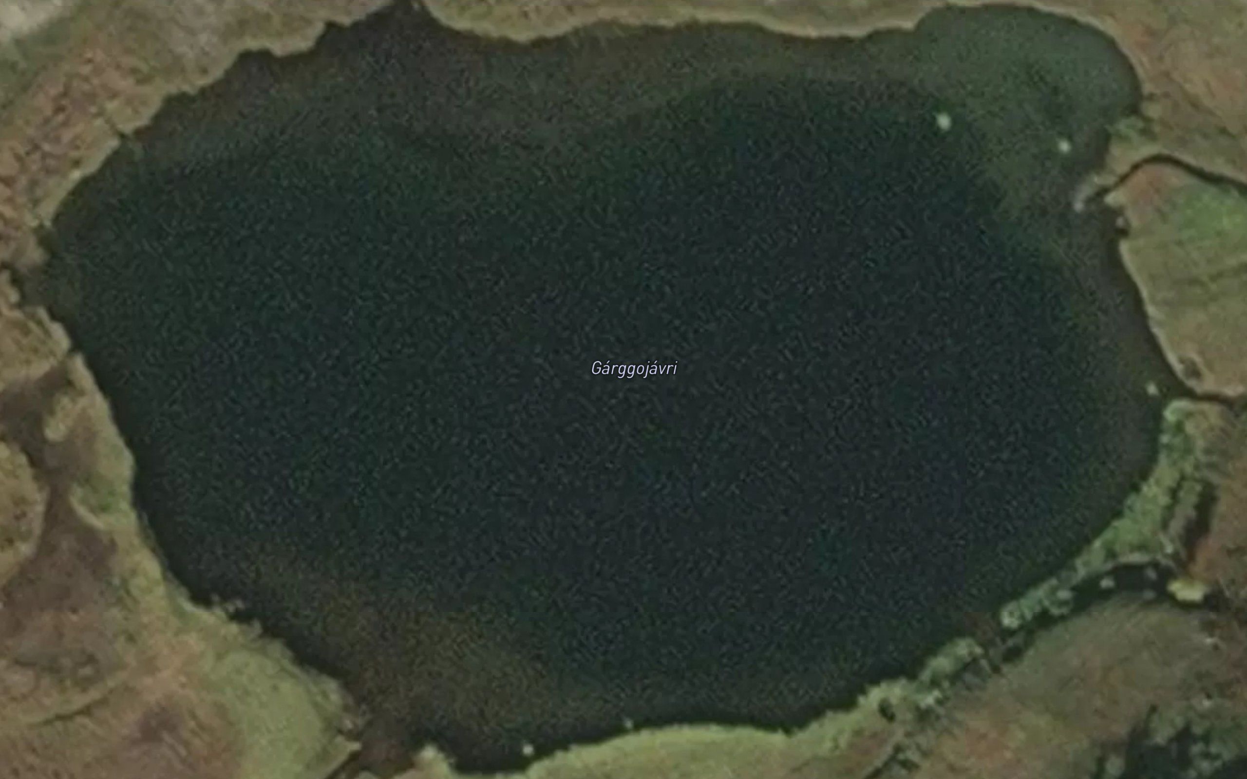 Gargujavri