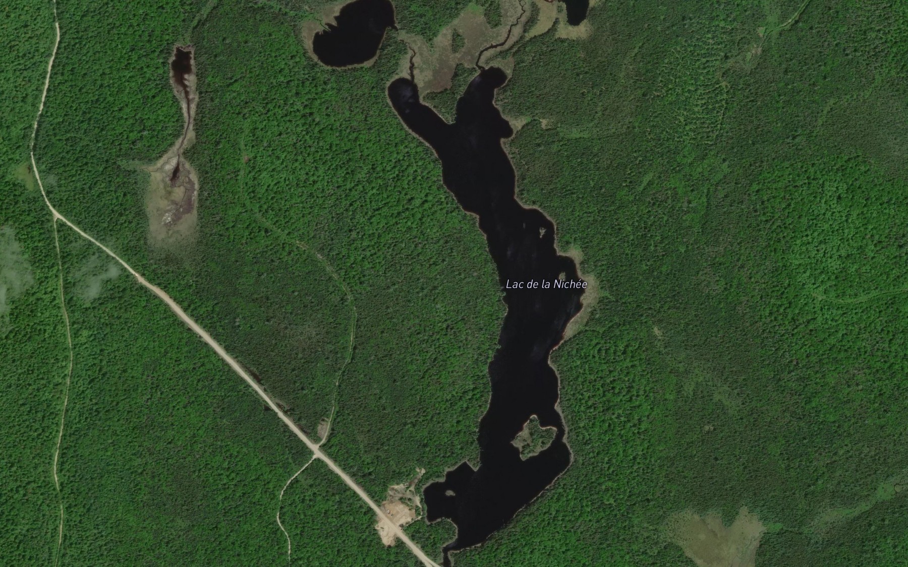 Satellite map of the Lac de la Nichee