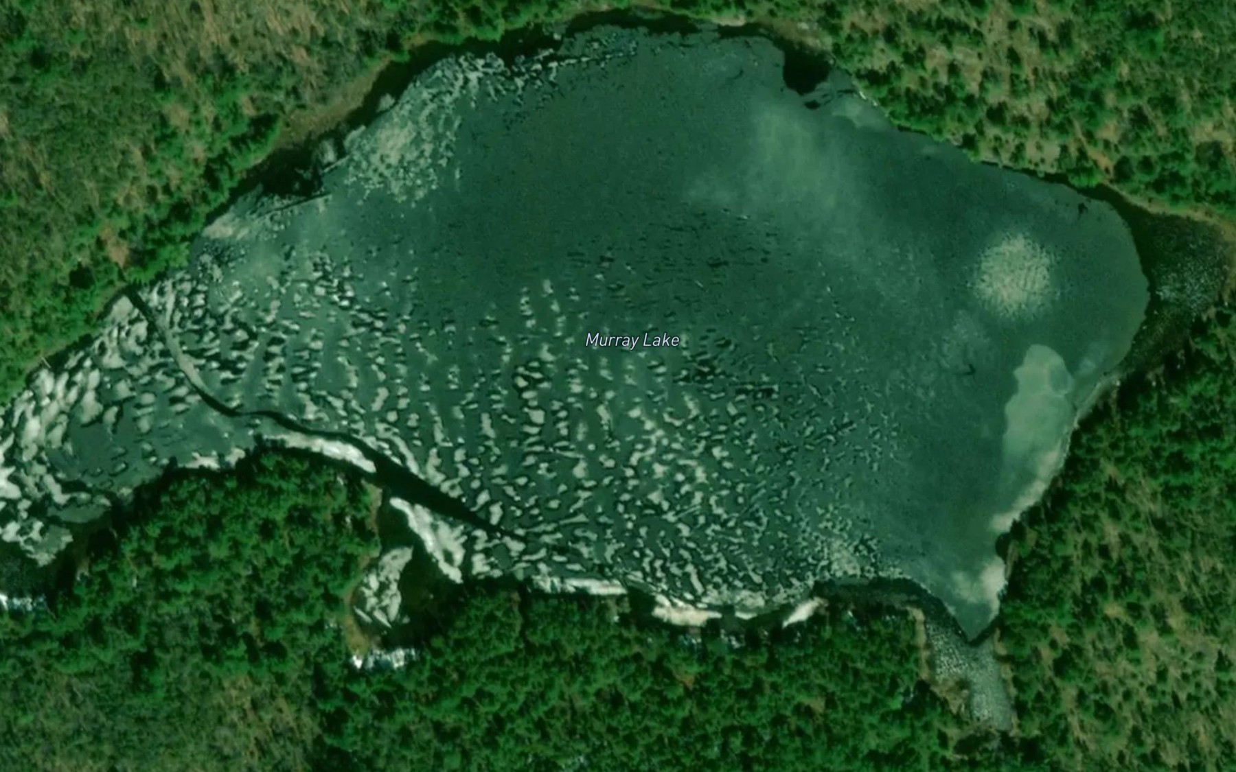Satellite map of the Murray Lake