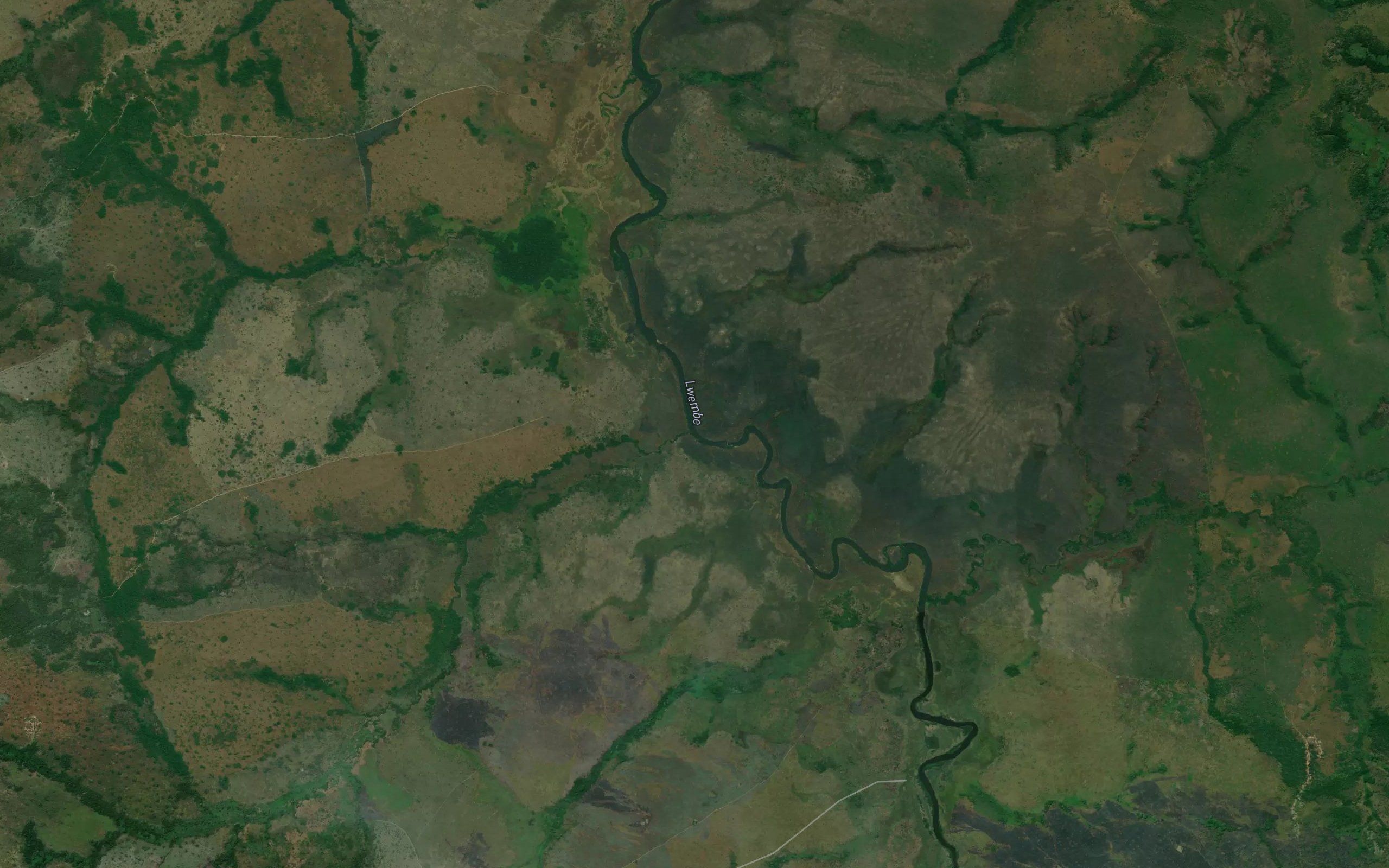 Mungulungwe