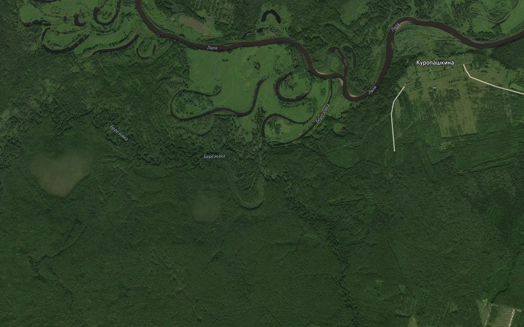 Satellite map of the Chernaya