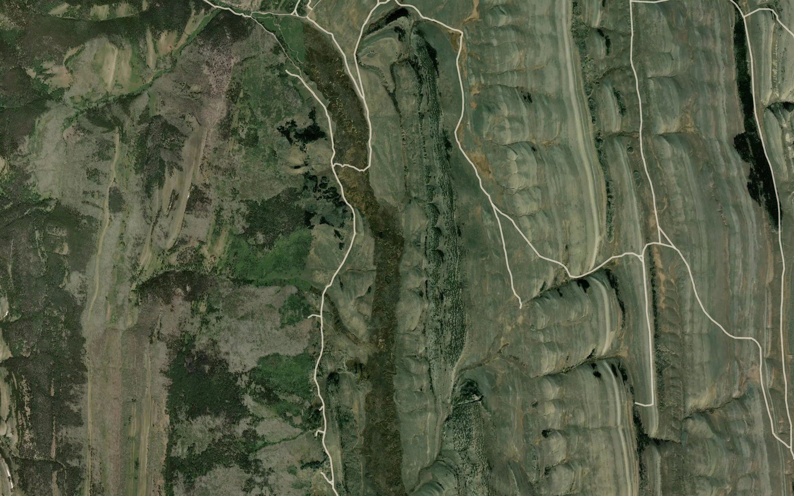Aspen Creek