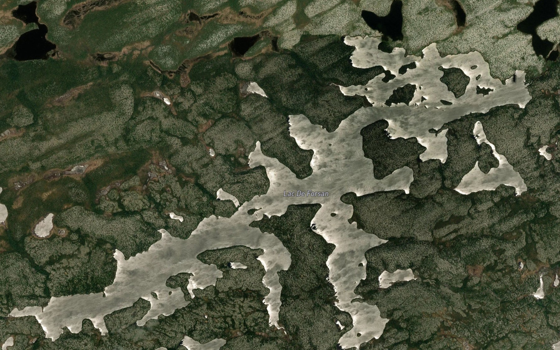 Satellite map of the Lac De Forsan