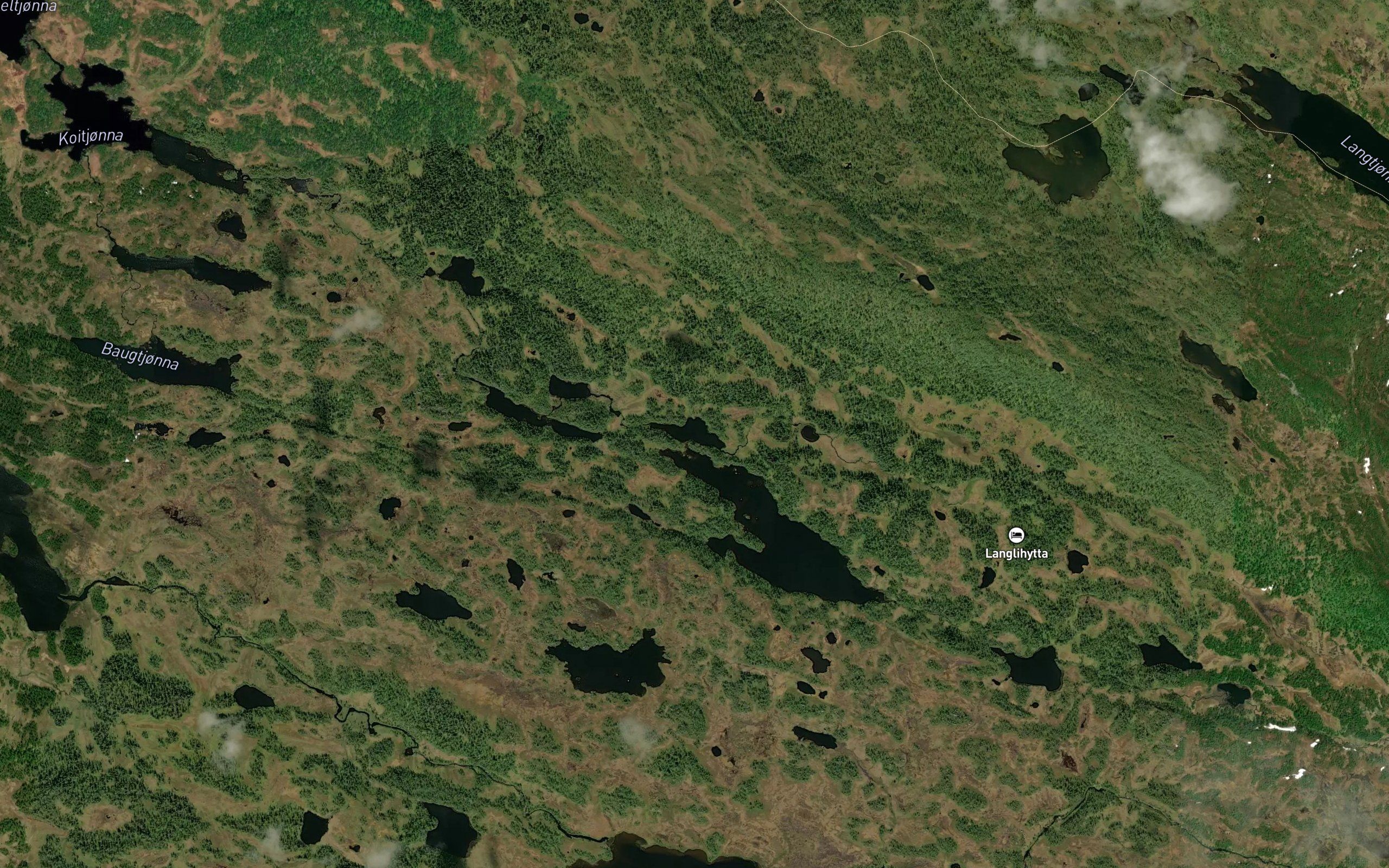 Naustertjorna