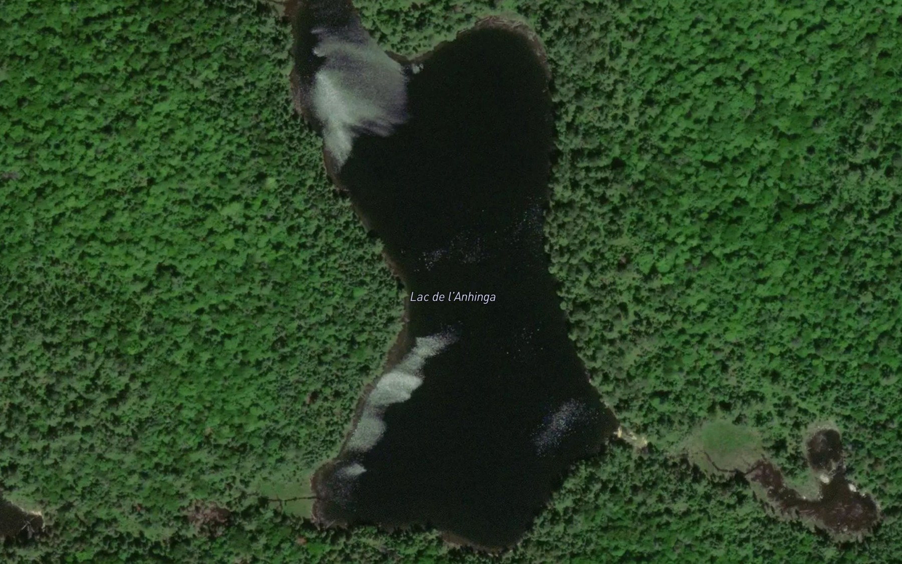 Satellite map of the Lac de l'Anhinga