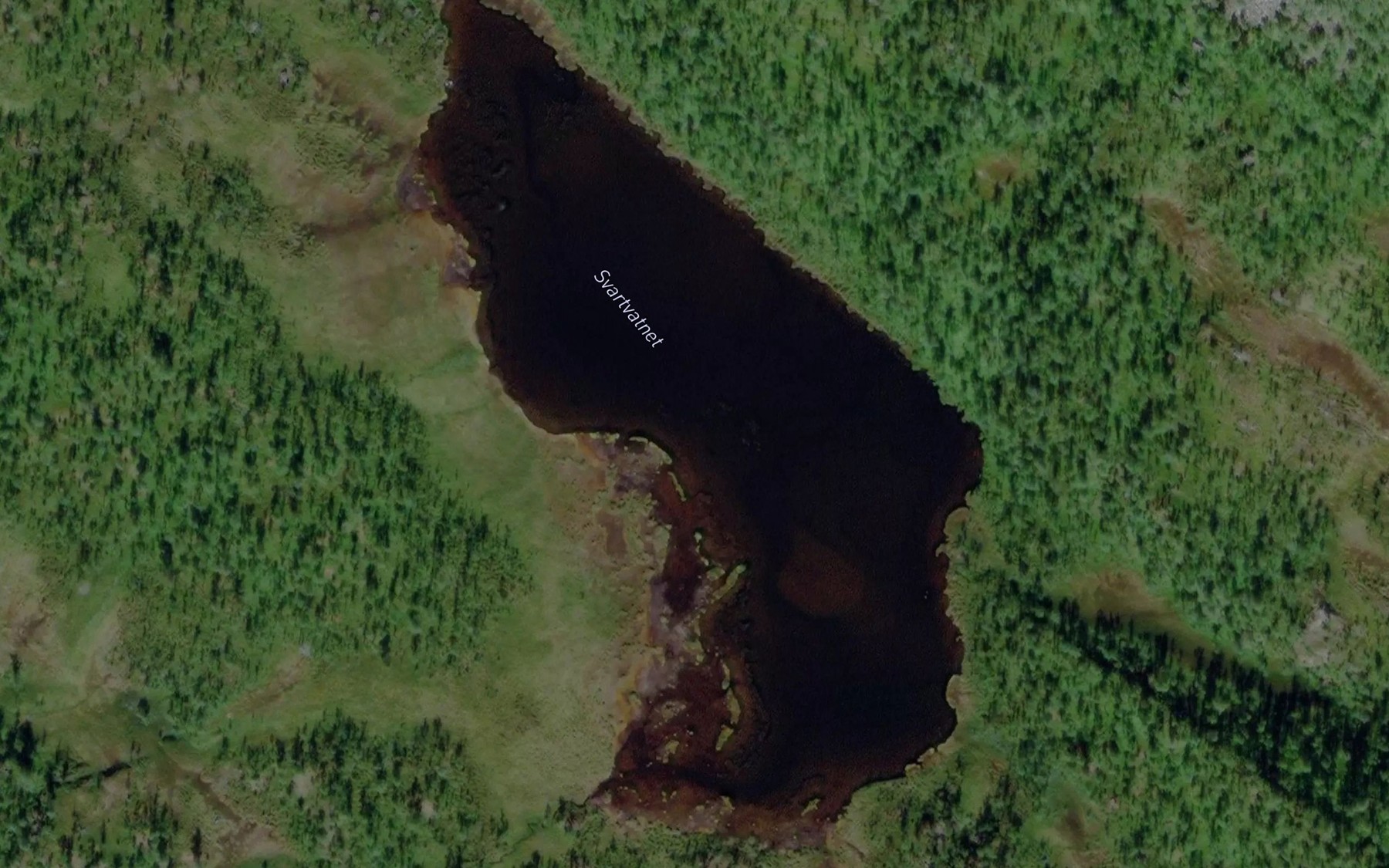 Satellite map of the Svartvatnet