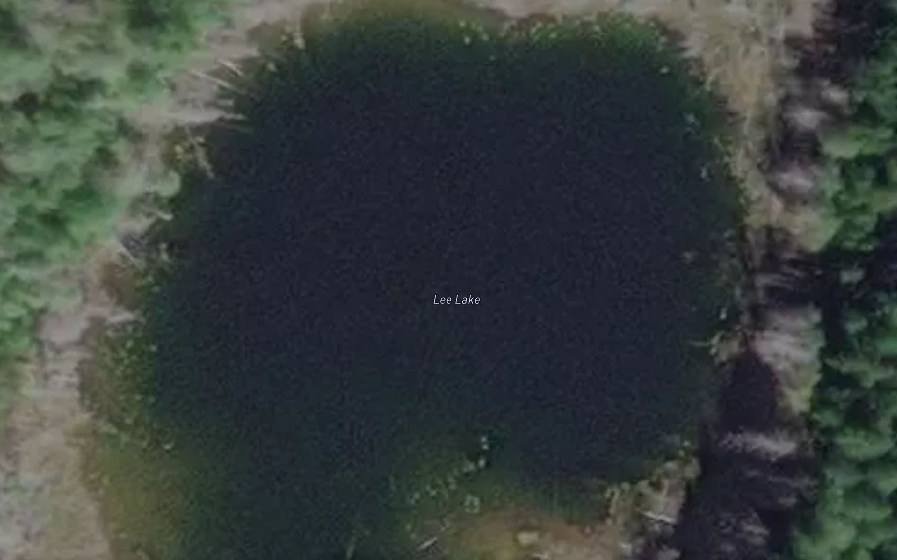 Satellite map of the Lee Lake