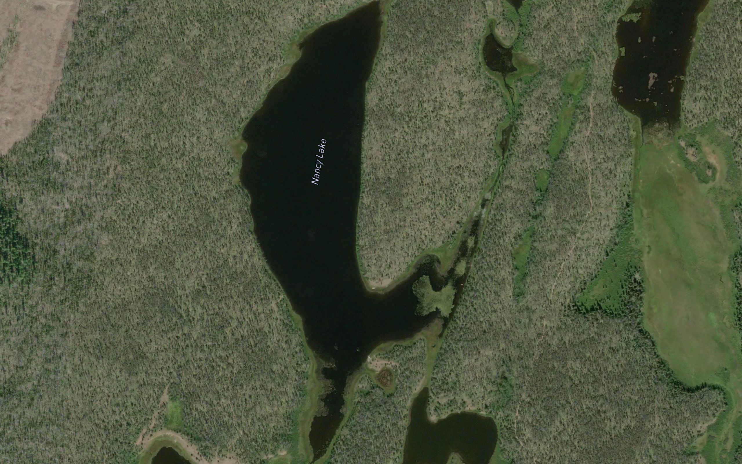 Nancy Lake