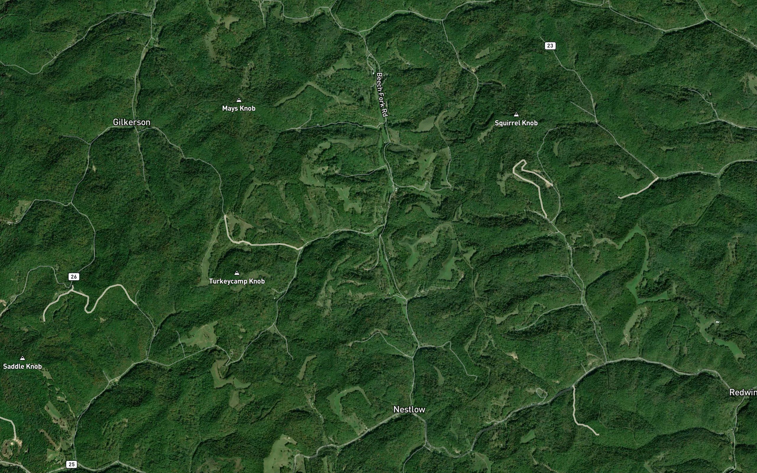 Turkeycamp Branch